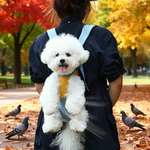 Mochila transpirable para perros pequeños y gatos en un hermoso entorno de parque otoñal