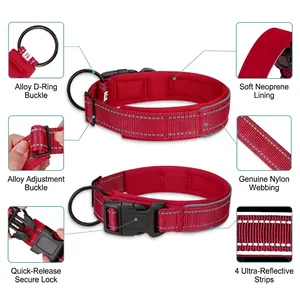 Vue détaillée d'un collier réfléchissant pour chien avec boucles et doublure