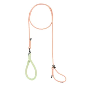 Professional P-chain dog training leash featuring anti-knot rope in pink and green