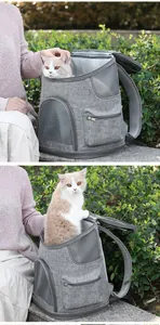 Vue détaillée d'un chat dans un sac à dos de transport gris respirant pour animaux