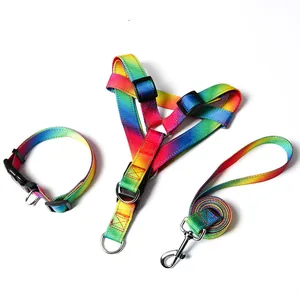 Rainbow gradient dog harness, collar, and leash set for small to medium dogs