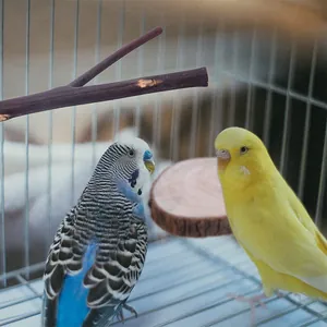 Macro view of natural wood bird perches and platforms inside a cage with budgies.