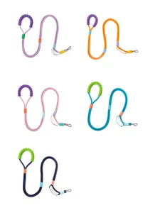 Durable multi-colored dog slip lead leashes in purple, orange, pink, blue, navy