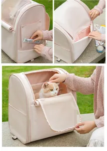 Detailed view of pink pet carrier backpack with breathable mesh and cat sitting inside