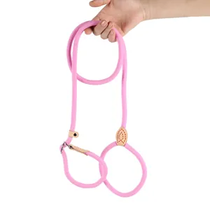 Heavy-duty durable pink nylon P-chain slip lead dog leash for medium and large dog training