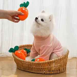 Interactive squeaky plush carrot toy shown being offered to a small white dog in a basket