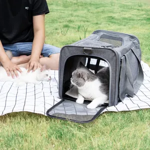 Gray breathable pet carrier bag shown in an outdoor park setting with cats