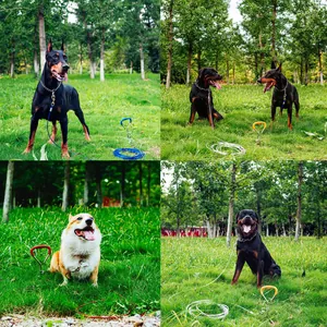 Set picchetto di fissaggio e guinzaglio in cavo d'acciaio per cani all'aperto