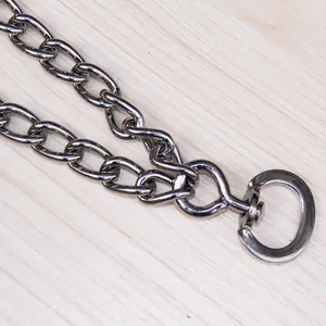 Nahaufnahme eines gunmetal-grauen Metall-Hundetrainings-Kettenhalsbandes mit Ring