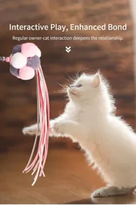 White fluffy kitten playing with a colorful pompom and streamer cat teaser wand toy