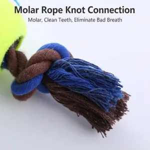 Jouet à mâcher pour chien avec balle de tennis et corde en coton tressé pour l'hygiène dentaire