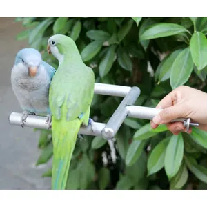 Detail view of two parrots standing on a stainless steel claw grinding perch pole