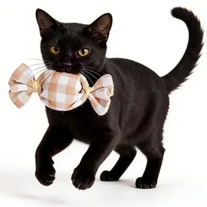 Nahaufnahme einer schwarzen Katze, die ein braun kariertes Plüschtier in Bonbonform hält