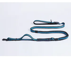 Detailed view of blue reflective retractable bungee dog leash for large breeds dogs