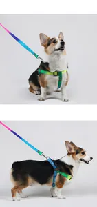 Detailansicht eines regenbogenfarbenen Nylon-Hundegeschirrs mit passender Leine am Corgi