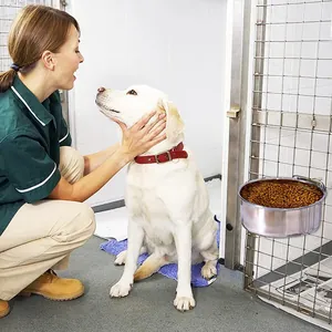 Hängender Futternapf Aus Edelstahl Für Hunde Und Katzen Käfig Fixierter Fressnapf Verstellbares Futter Wasserbecken Für Welpen Kaninchen Käfig Zubehör