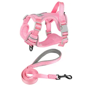 Detail of pink reflective dog harness and leash set with breathable mesh fabric.