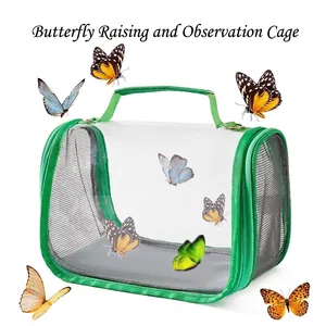 Close-up of a portable green butterfly observation cage with mesh sides and clear panels