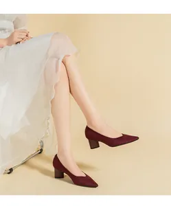 Detailansicht eleganter burgunderroter Pumps mit spitzer Kappe und 5cm Blockabsatz am Model.