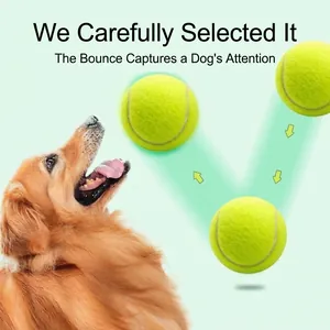Dettaglio di palline da tennis elastiche per l'addestramento e il gioco del cane