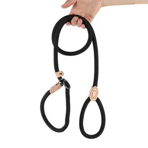 Heavy-duty black nylon slip lead dog leash with premium leather reinforcements