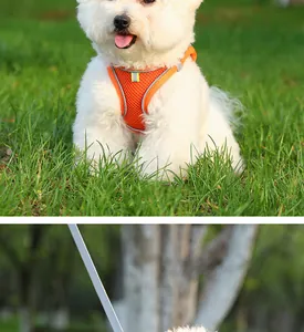 Detailansicht eines atmungsaktiven orangefarbenen Hundegeschirrs mit Reflexstreifen.