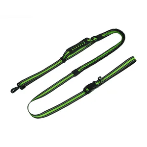 Reflective bungee dog leash for running with adjustable waist belt and shock absorption.