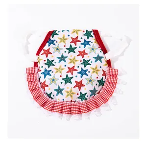 Macro detail of hen saddle apron with colorful star pattern and red gingham ruffles