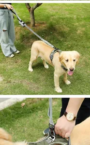 Detailansicht eines strapazierfähigen olivgrünen Hundegeschirrs aus Nylon für große Hunde