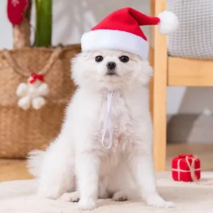 Schattige witte hond met een feestelijke rode pluche kerstmuts met witte elastische band