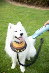Weißer Samojede mit wasserfestem Hunde-Lätzchen und Hamburger-Muster „Delicious“.