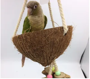 Detailed view of natural coconut shell bird swing with a small parrot perched inside.