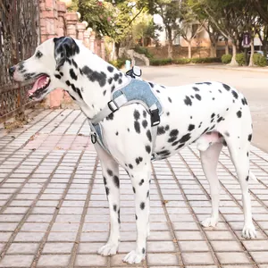 Oxford cloth reflective dog harness vest worn by a Dalmatian dog on an outdoor path