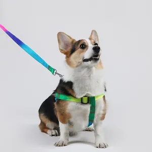 Adjustable Rainbow Gradient Pet Leash And Harness Set Durable Polyester Walking Tether For Small Medium Dogs Cats With Metal Buckle