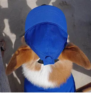 Dettaglio della vista dall'alto di un cappellino da baseball blu per cani