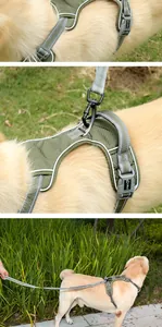 Detailansicht eines langlebigen hundegeschirrs mit LDLC-Logo und reflektierenden nähten.