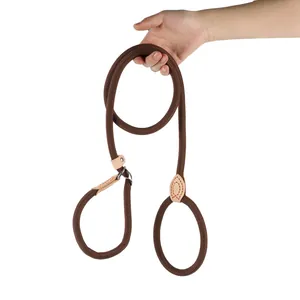 Hand holding a durable brown braided nylon slip lead dog leash with leather detail.