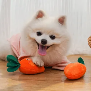 Close-up of plush carrot squeaky toys interacting with a happy white Pomeranian dog