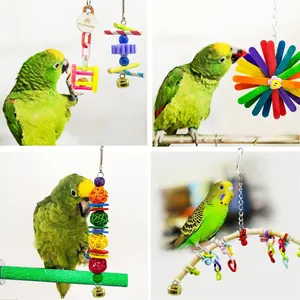 Detail view of various colorful parrot chewing toys and perches in use by birds.