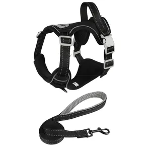 Close-up detail of reflective breathable black dog vest harness with matching leash set