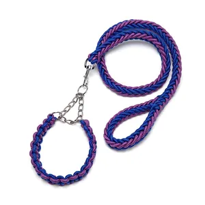 Ensemble laisse et collier pour chien en nylon tressé à 8 fils, bleu et violet, durable