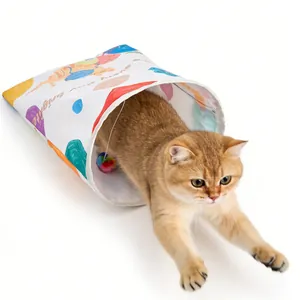 Goldene Britisch Kurzhaar Katze springt aus einem bunten Knisterpapier Tunnel