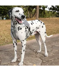 Close-up detail of a breathable gray Oxford cloth dog harness worn by a Dalmatian dog