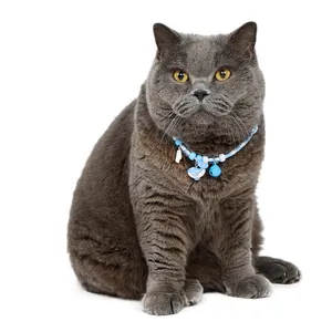 Adorable blue beaded pet collar with bell and dolphin charm shown on a grey cat