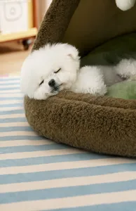 Detailed view of a small white dog sleeping peacefully in a plush enclosed tent-style pet bed