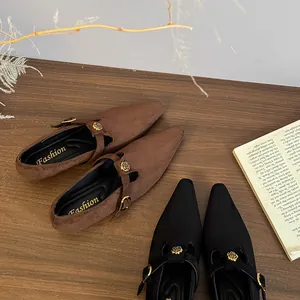 Vista dettagliata di scarpe Mary Jane in pelle scamosciata retrò con eleganti fibbie a rosa dorata
