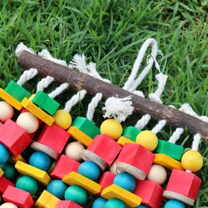 Detail eines bunten Papageienspielzeugs aus Holz zum Kauen für große Vögel auf Gras