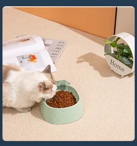 Detailed view of a light green pineapple-shaped cat bowl filled with dry food in a home