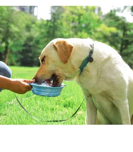 Portable blue collapsible silicone dog bowl used for outdoor watering in a park