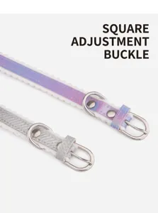 Close-up of pet collar featuring adjustable metal buckle and wavy lace edge